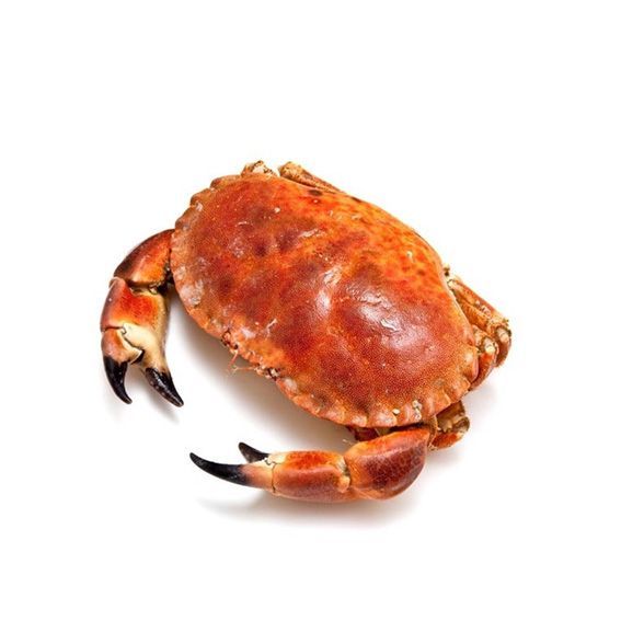 Bou de Mar