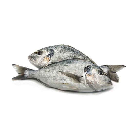 Orada