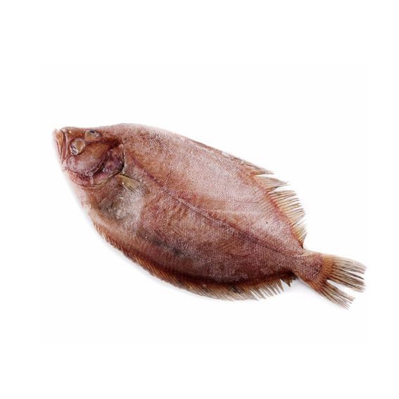 Bruixa