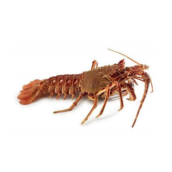 Llagosta