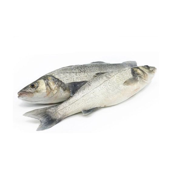 Llobarro
